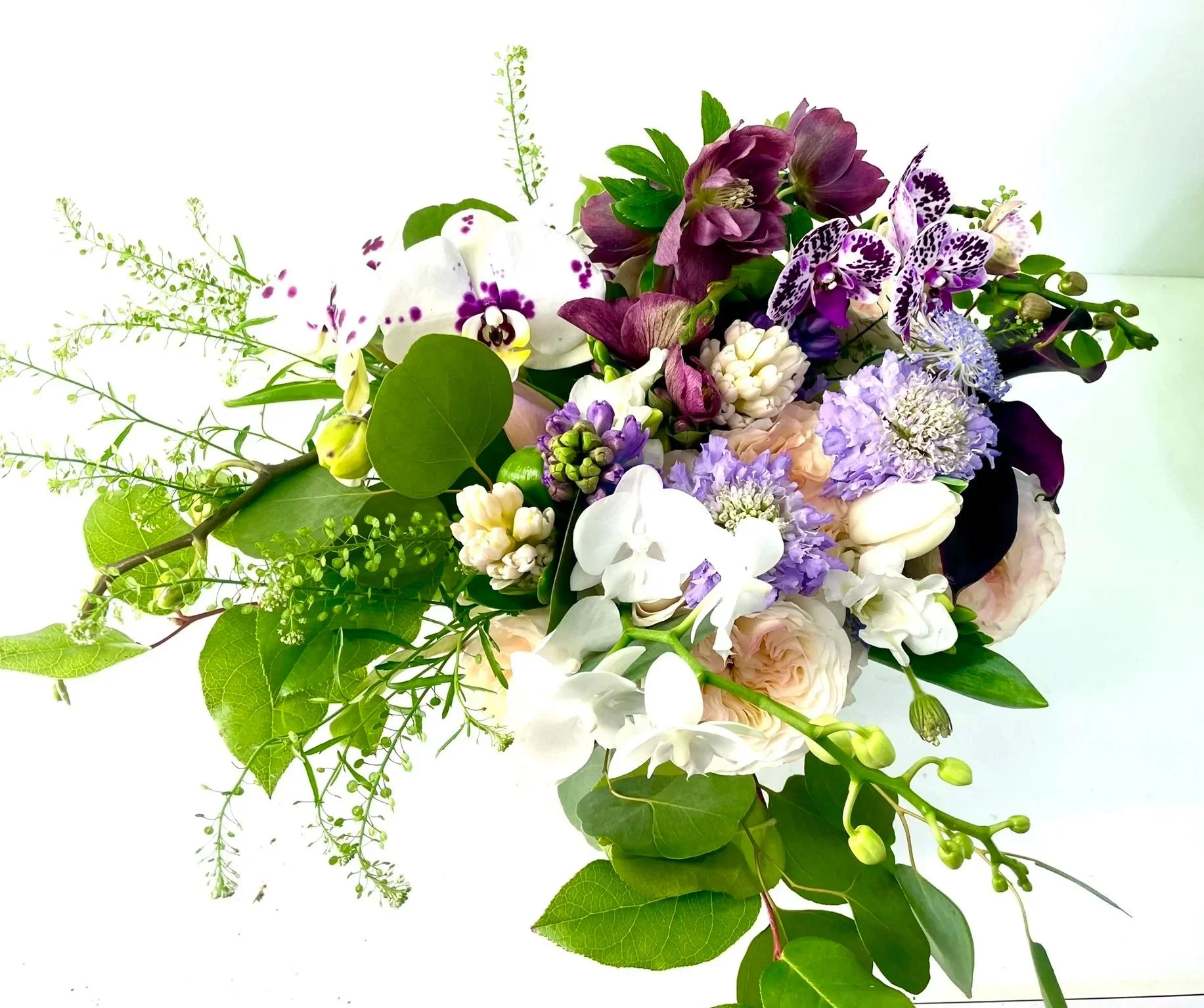 Shiori - Purple Gentle Note