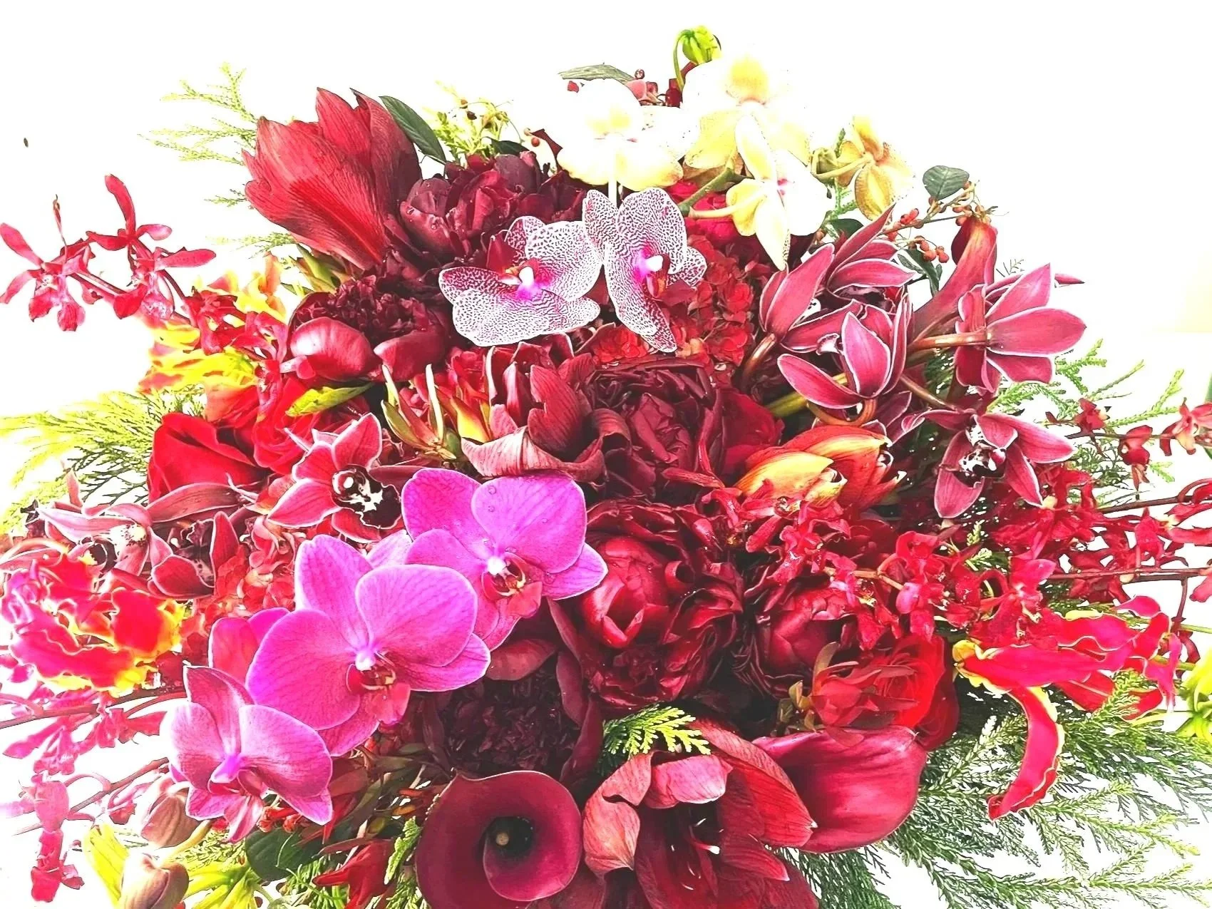 Akane — Scarlet Glow