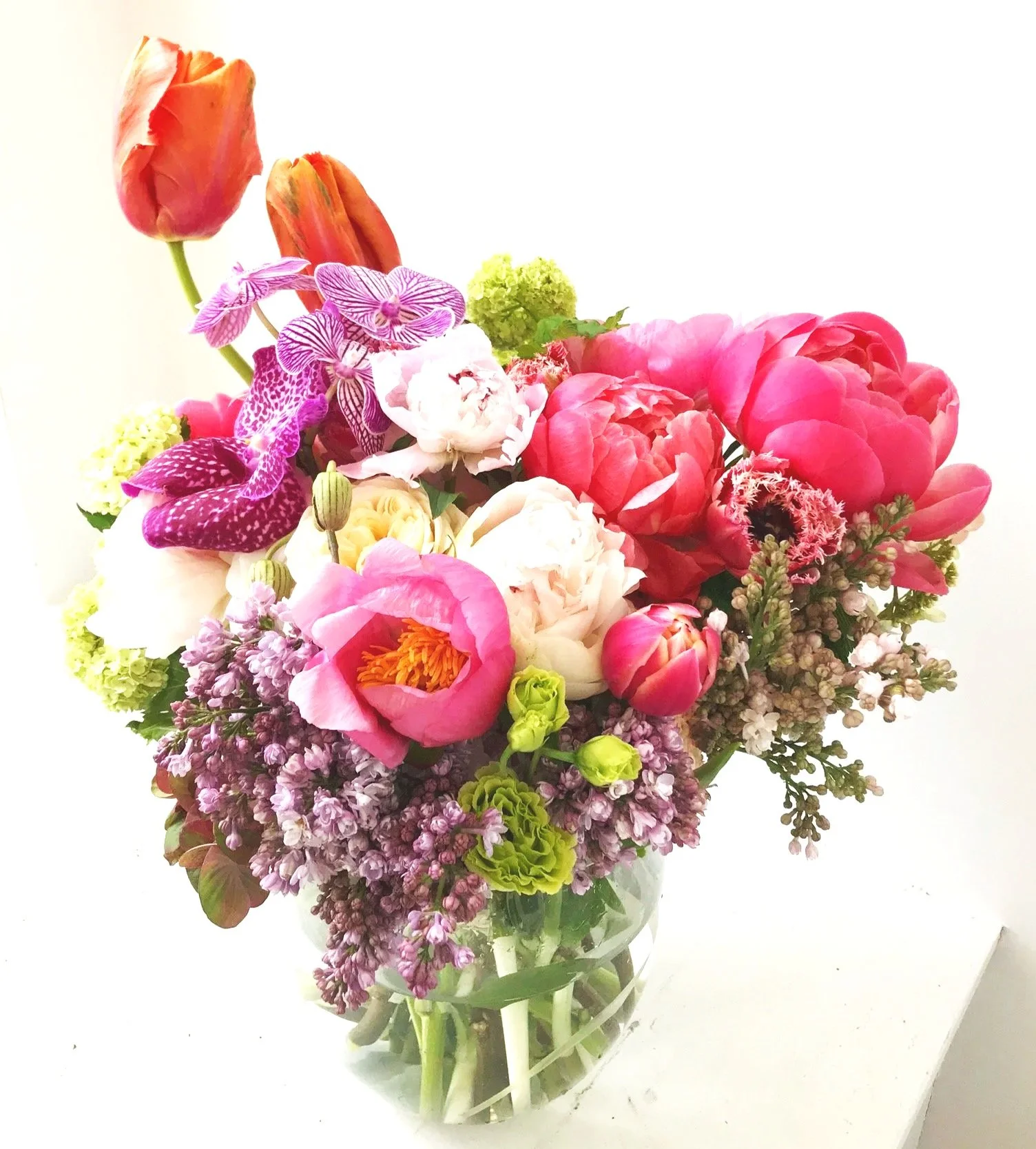 Beni Hana -Rosy Spring 