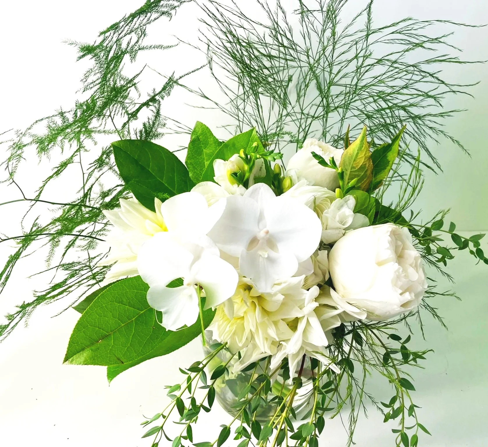 Mashiro - Pure Harmony