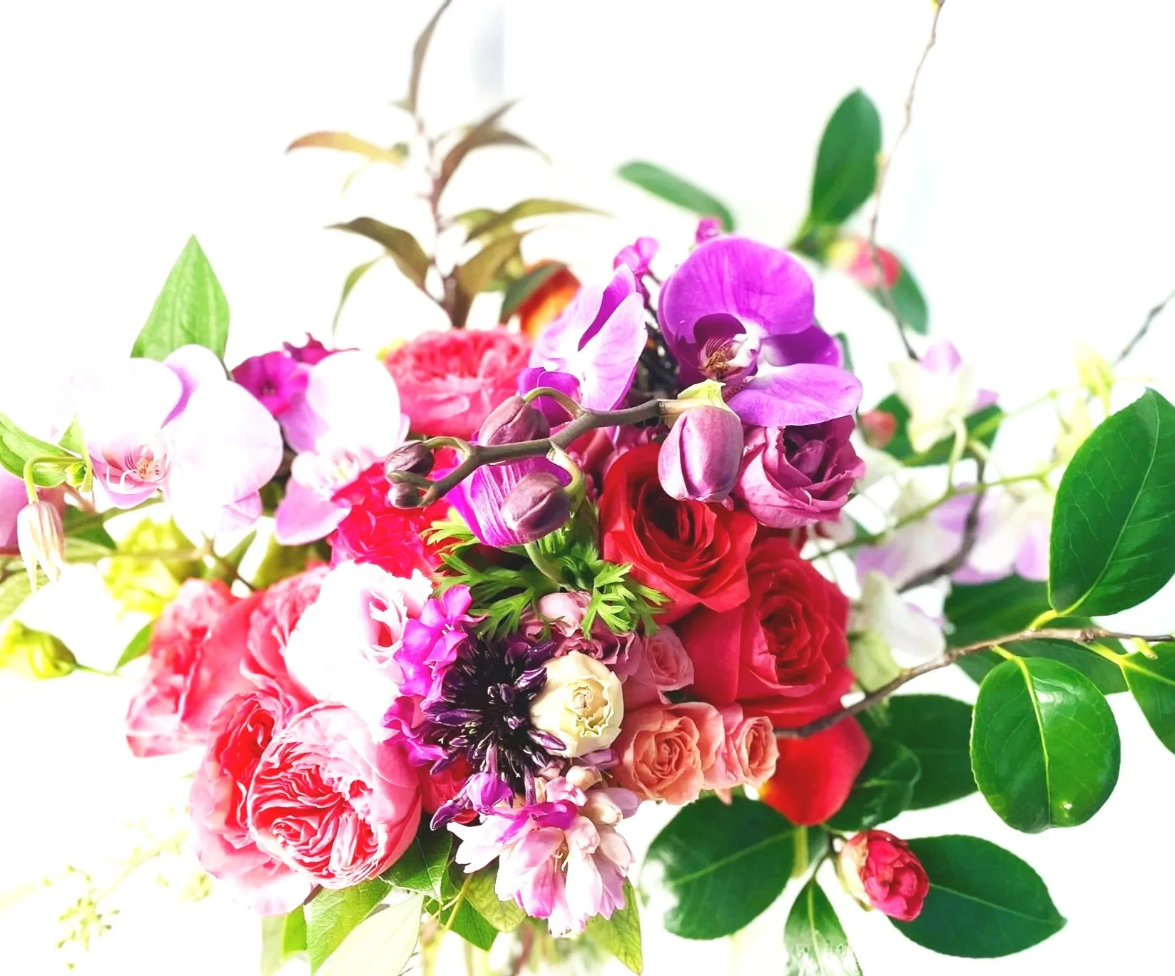 Haru no  Yoin - Echo of Spring