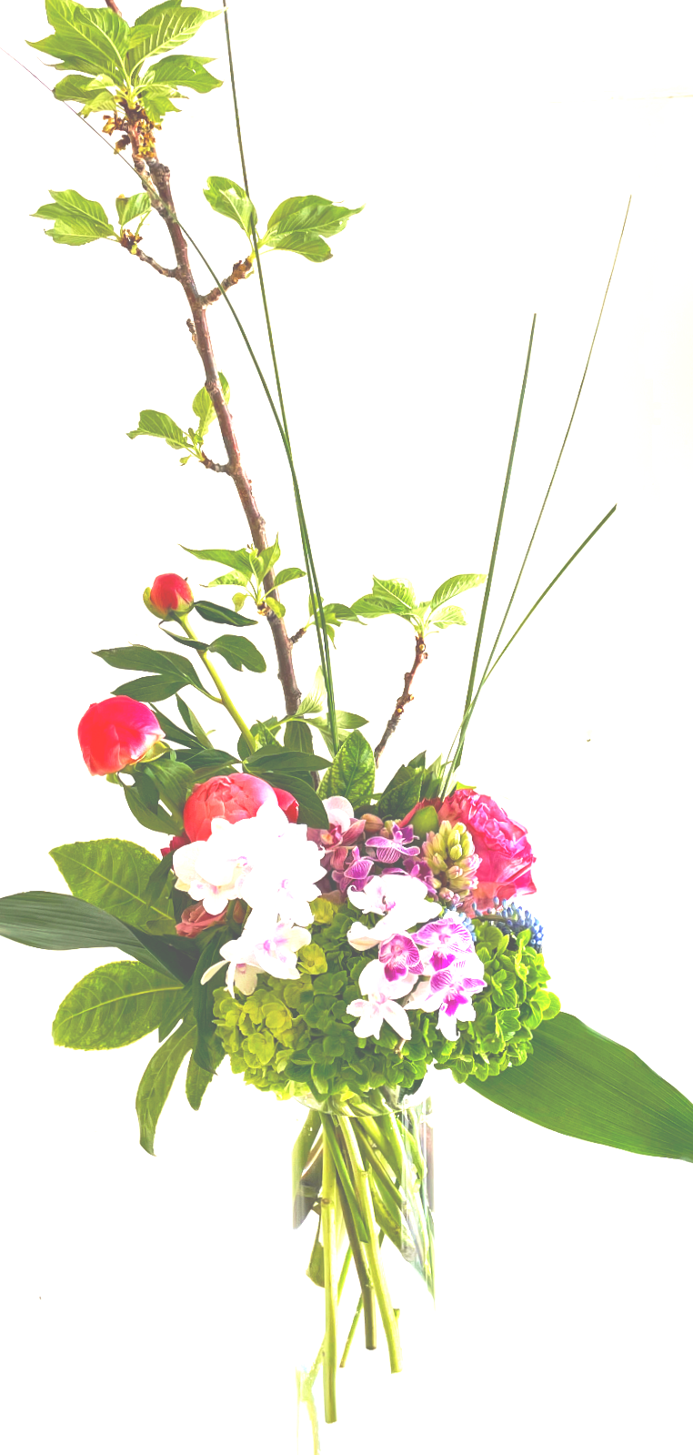 Hikari — Luminous Heart