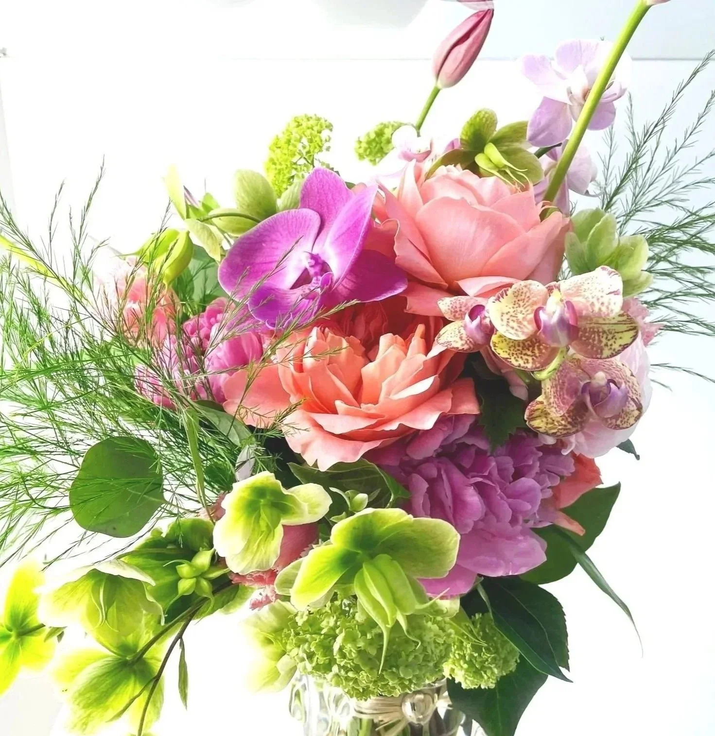 Hana Akari - Petal Glow