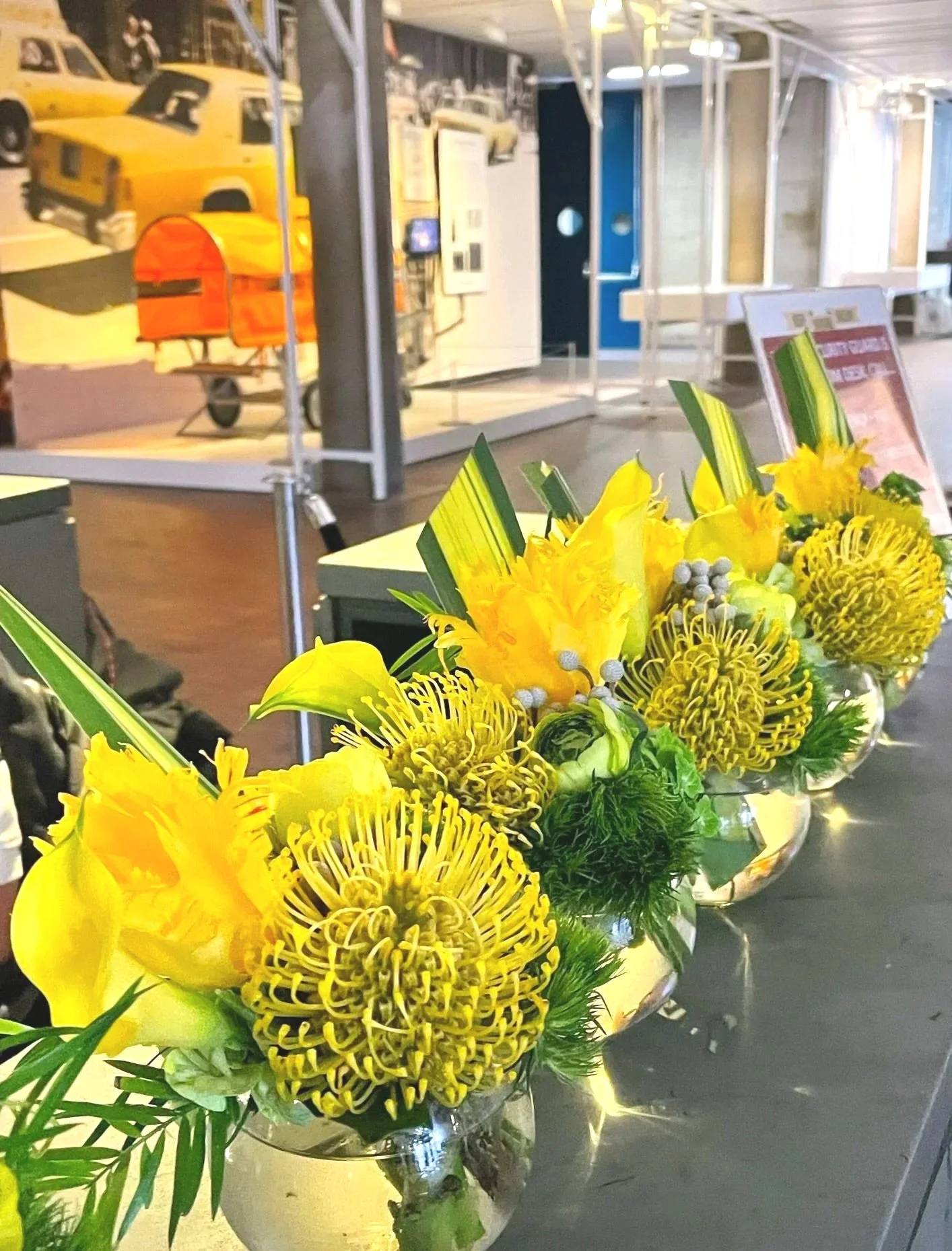 Hidamari - Sunlit Embrace