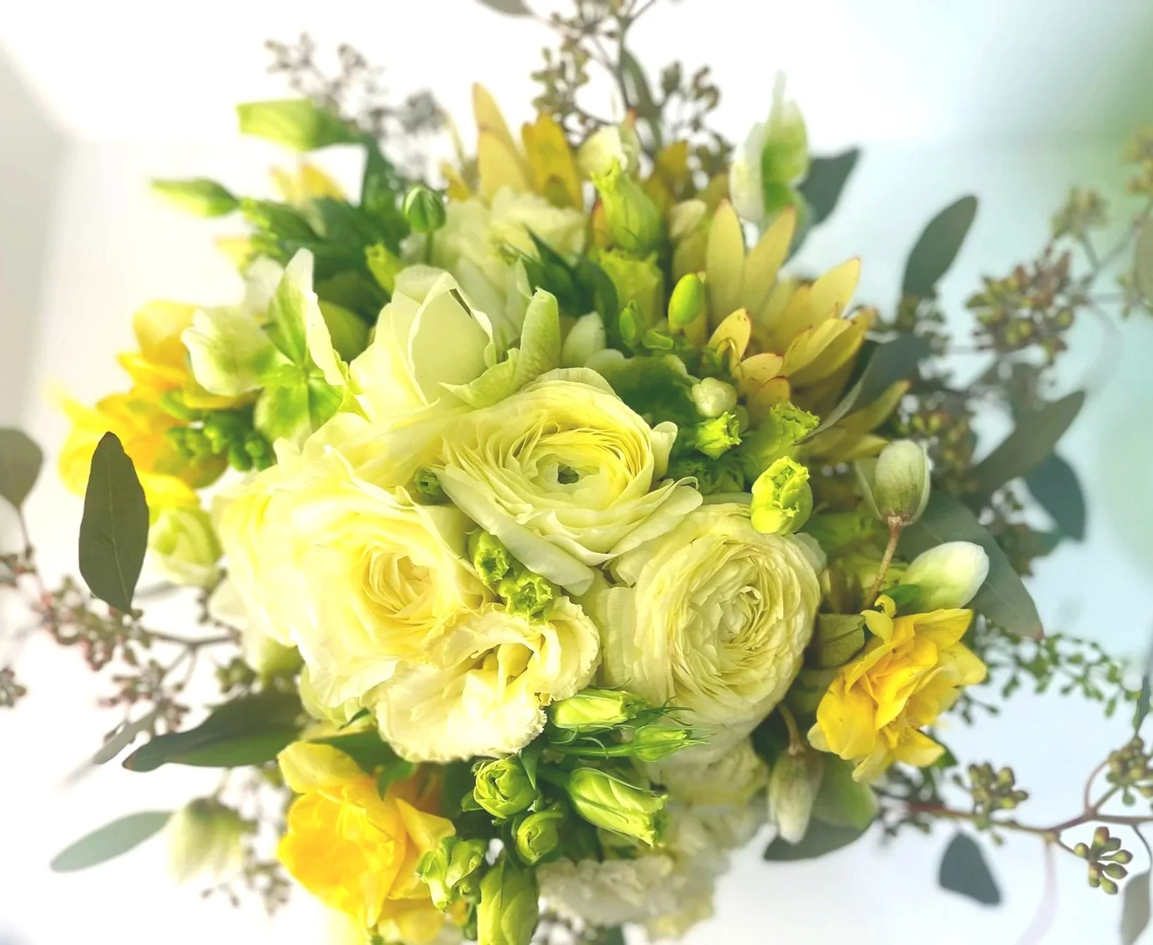 Nano hana - Golden Meadow 