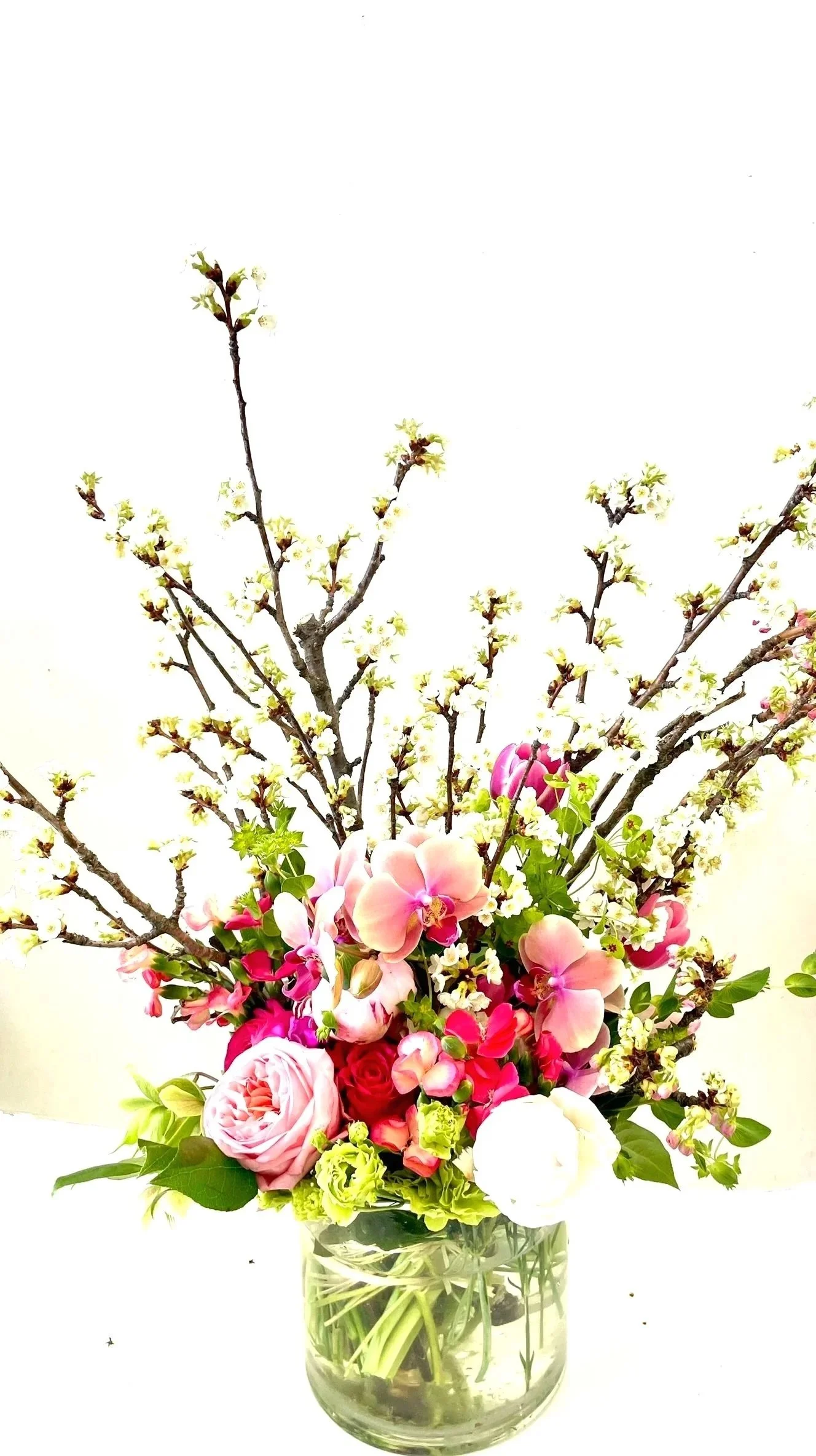Haru yo koi - Awaiting Spring