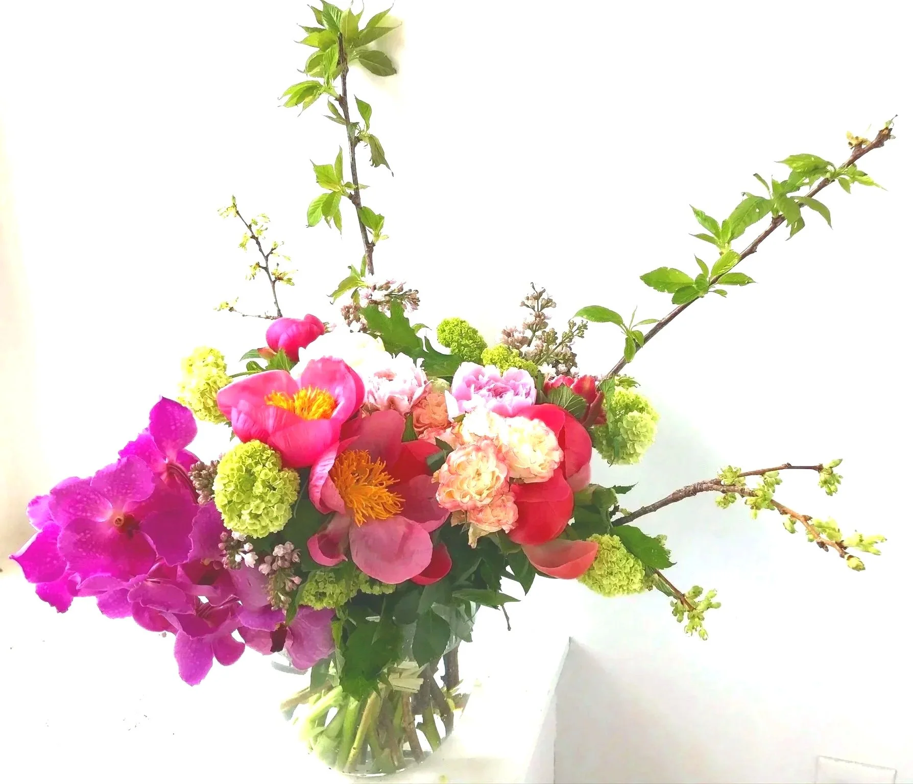 Kokoro - Melody of Peony