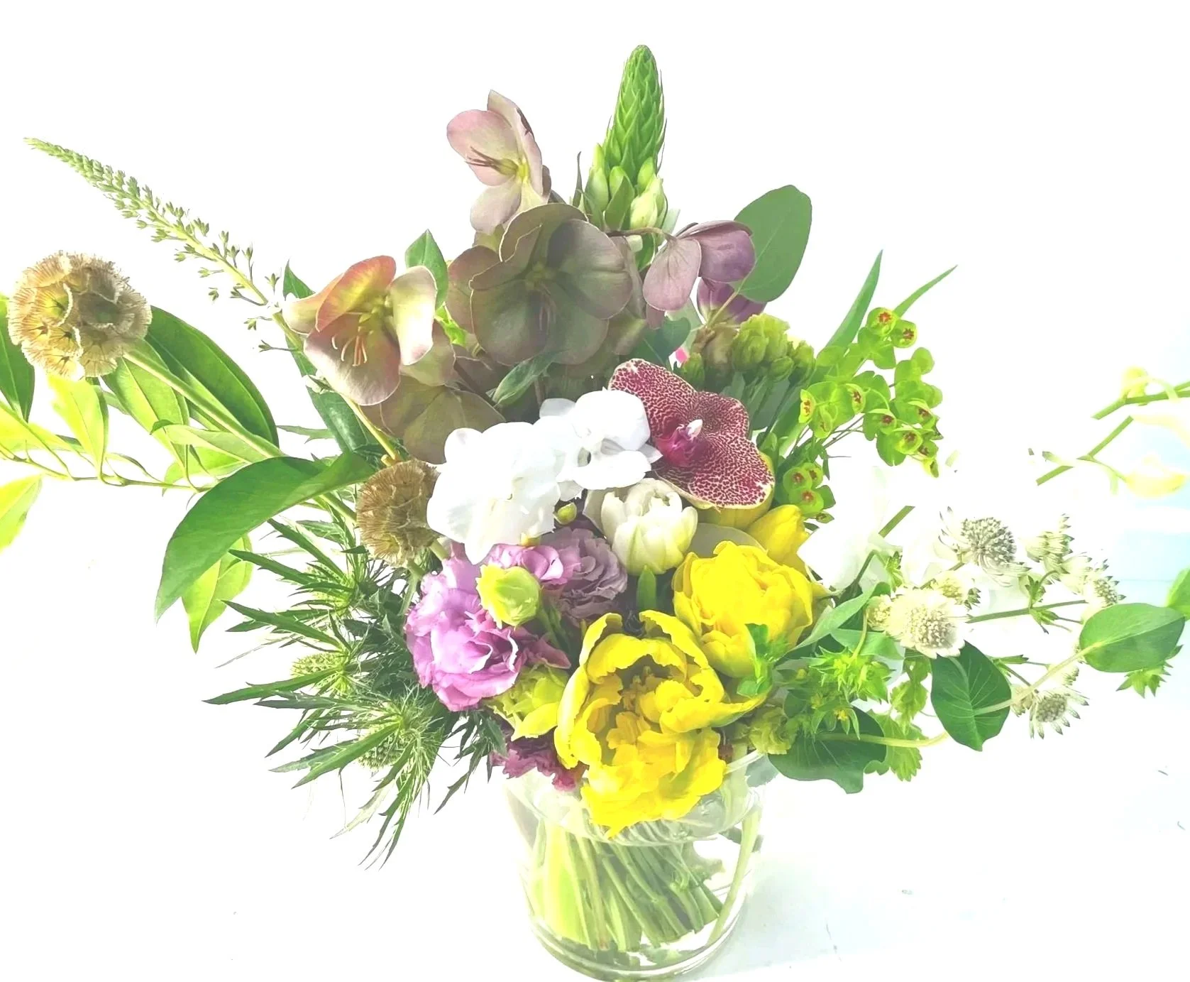 Haru no niwa - Spring Garden