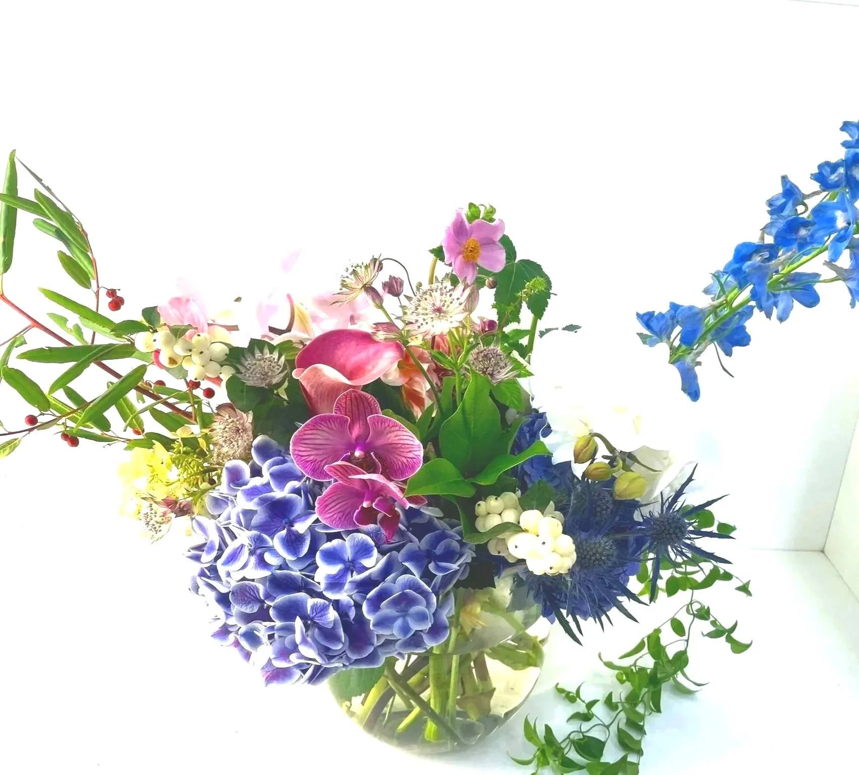 Seika - Pure Summer