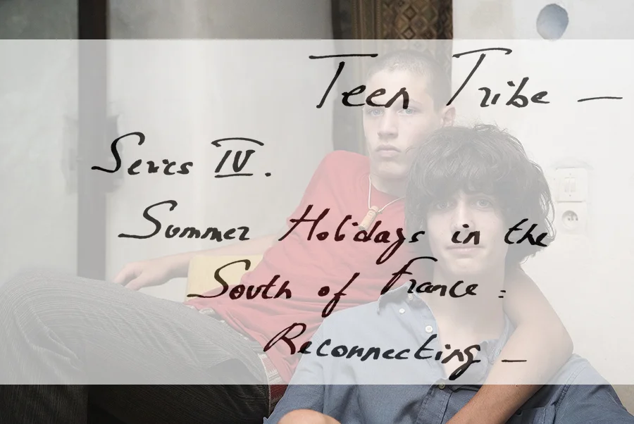 Teen Tribe Book by Steidl