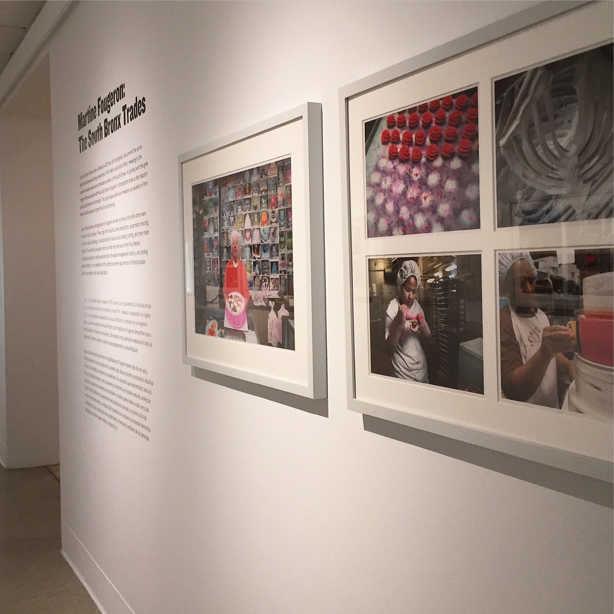 Solo Show: Bronx Museum of the Arts