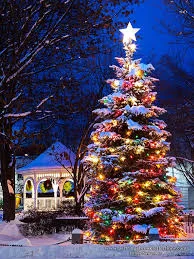 Keene NH downtown in the winter. Any season is a good season in Keene, NH to visit, stay awhile and pick up your next four legged family member. We do ship if needed.