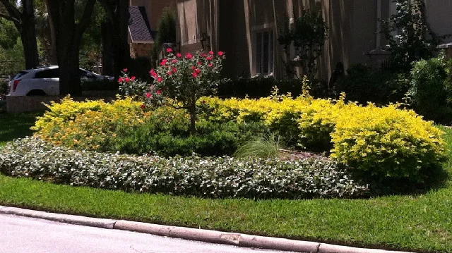 Get some "CURB" appeal