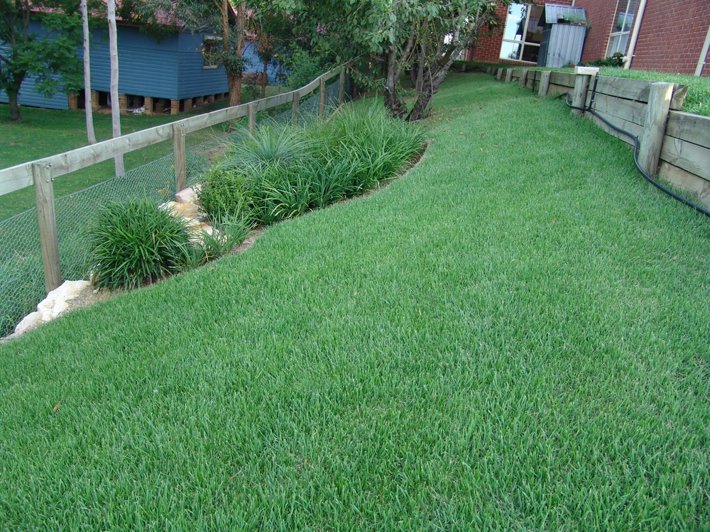 Empire-Zoysia-Sod-Farm%5B1%5D[1].jpg