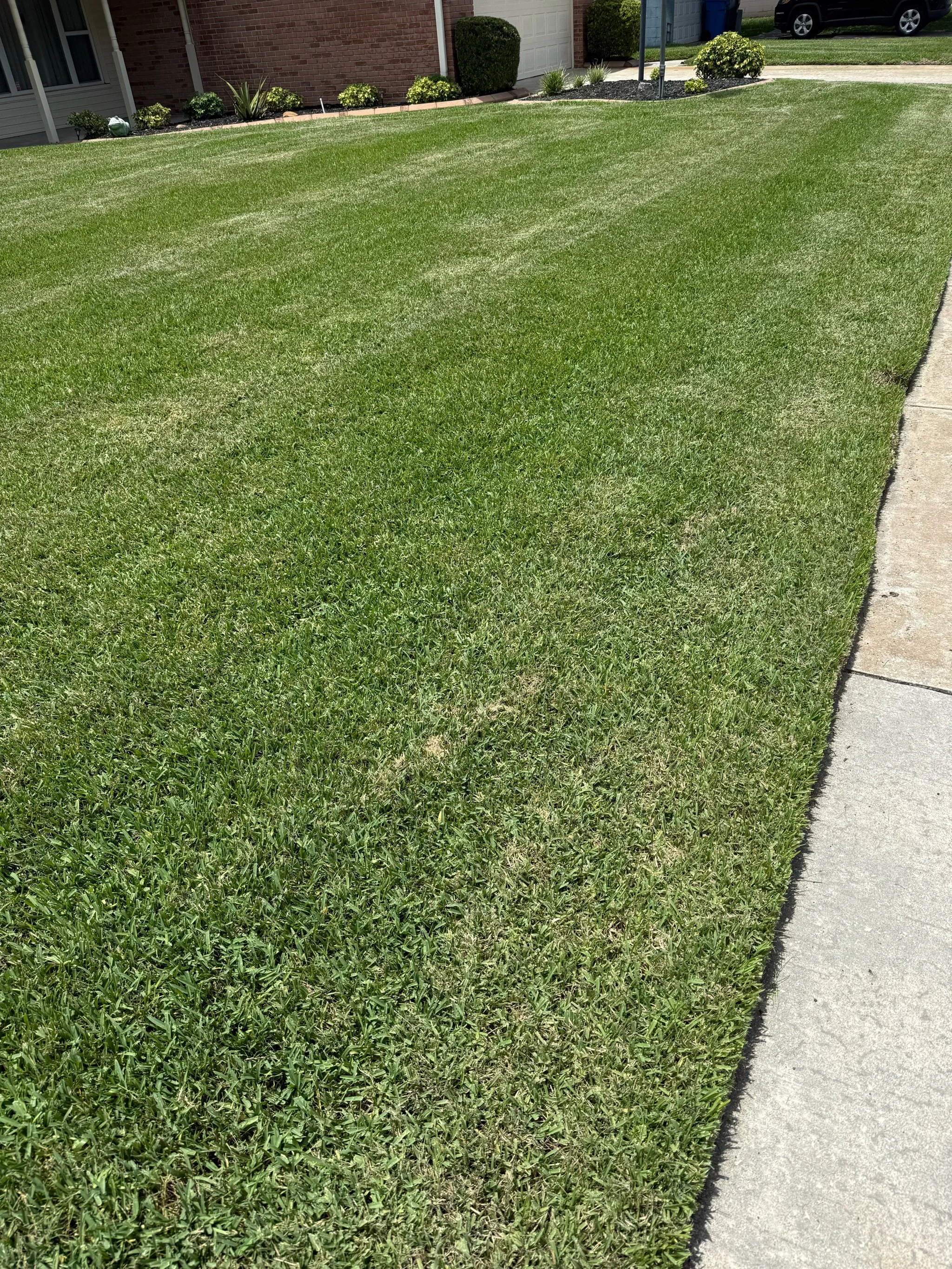 Improper Mowing Practices: How Mowing Can Affect the Health of Your Florida Lawn
