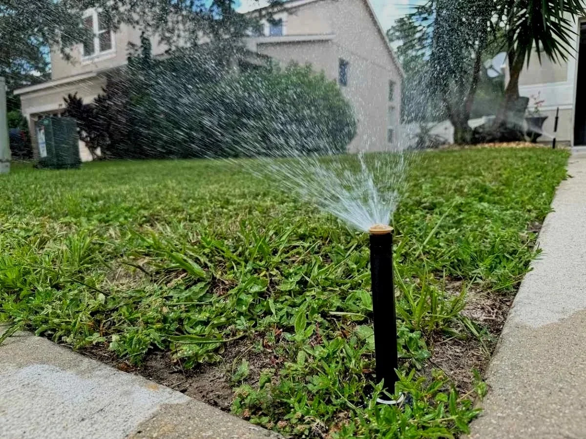 Why You Shouldn't Turn Off Your Sprinklers Just Because It's Raining in Tampa Bay