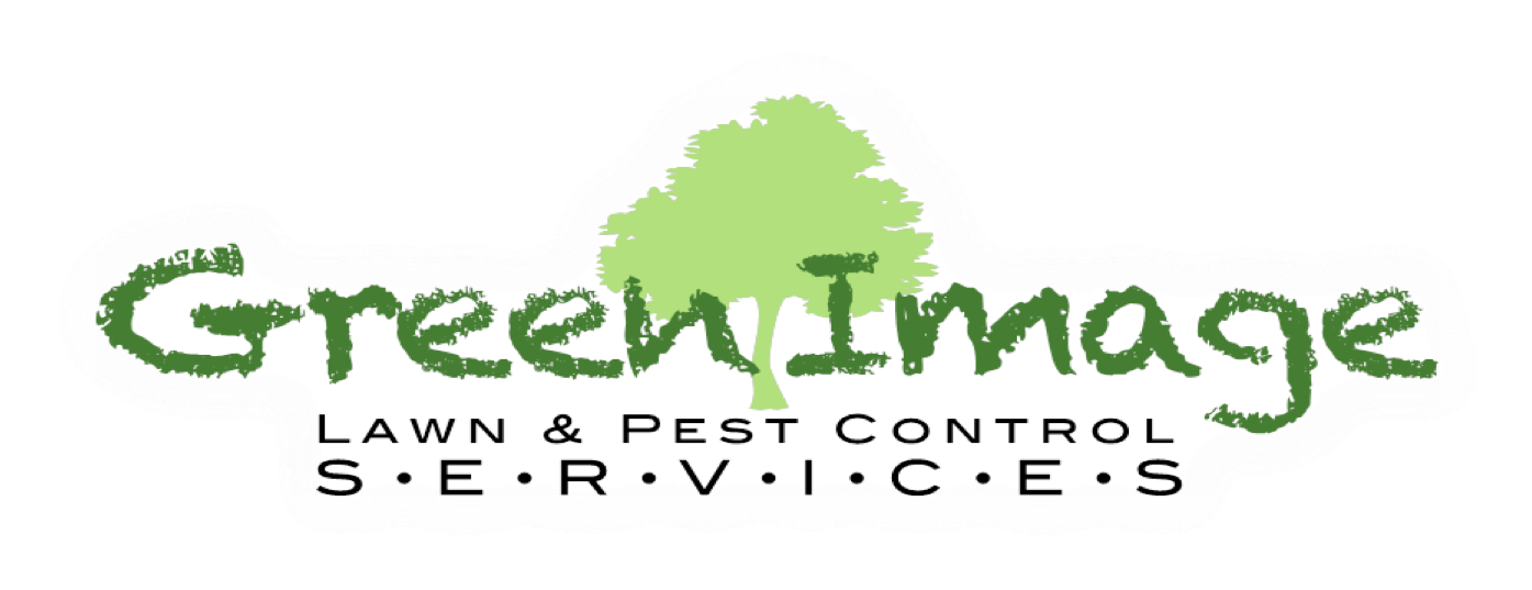 Green Image Services
