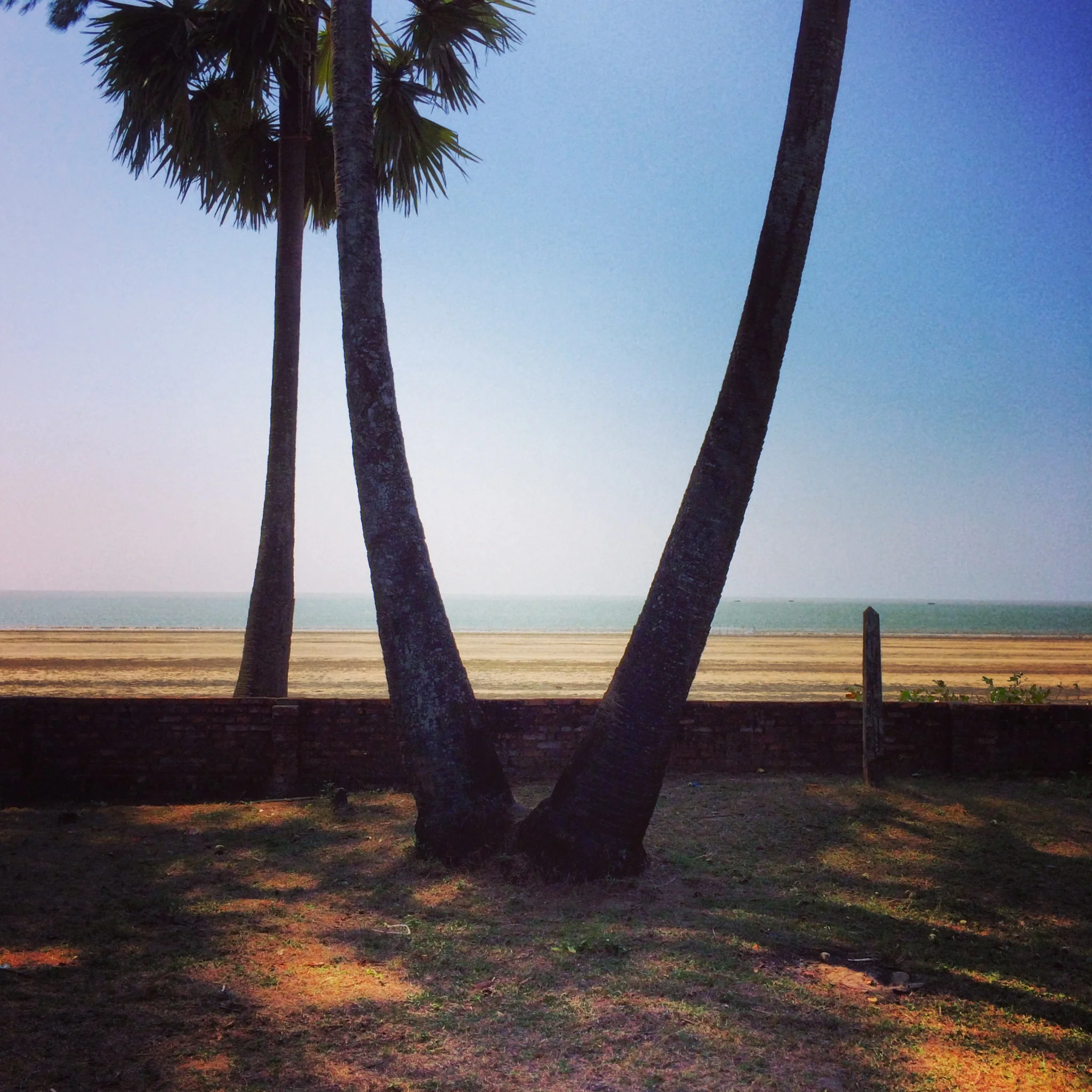 2014-01-07 11.32.31-1.jpg