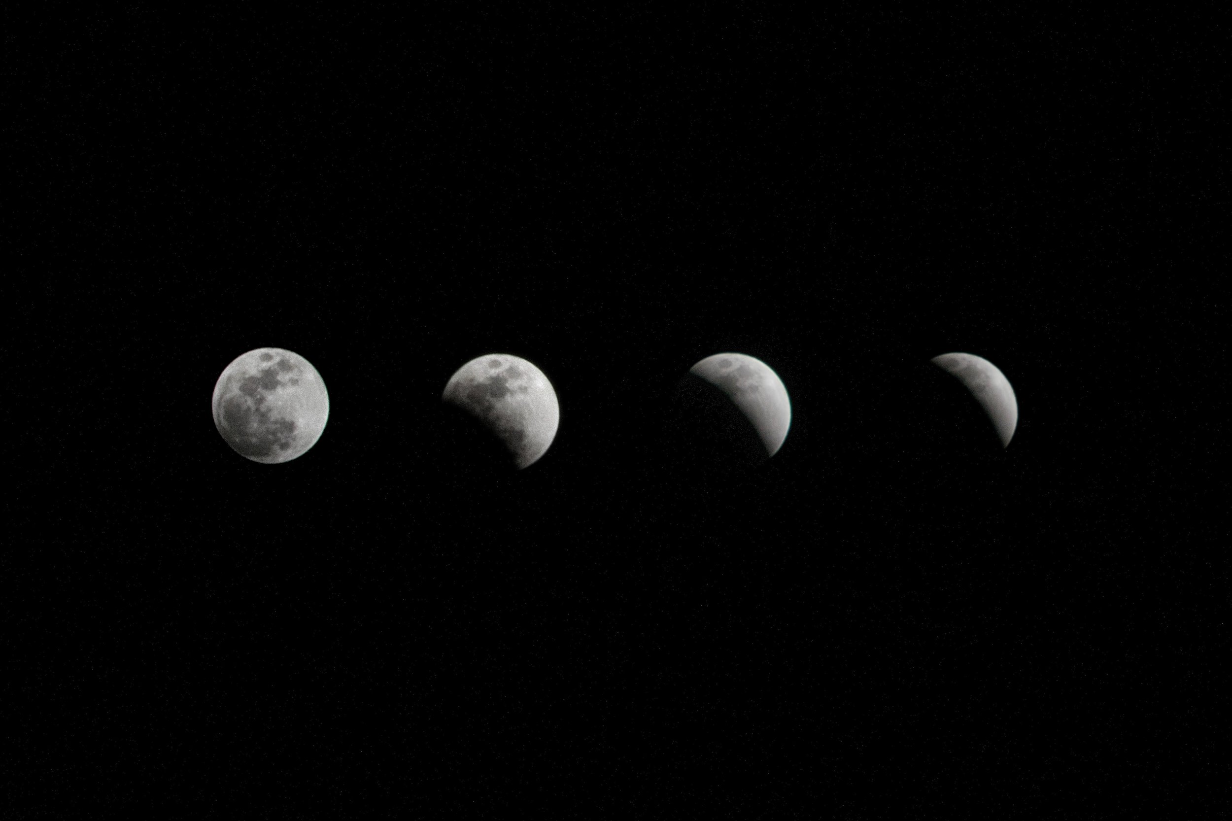 nino-yang-542613-unsplash.jpg