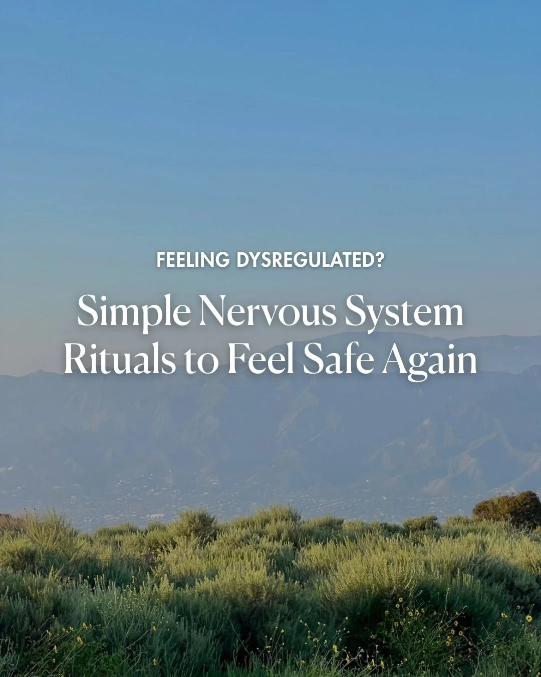 A peek into how the TBM team has been regulating lately 🌿🕯️&nbsp;

Nothing too fancy. Just small, simple habits that helped us feel more like ourselves.

What&rsquo;s one thing you did over the weekend that felt like a hug to your nervous system? S