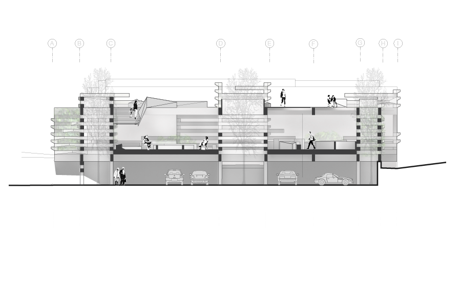 sections_final-02.png