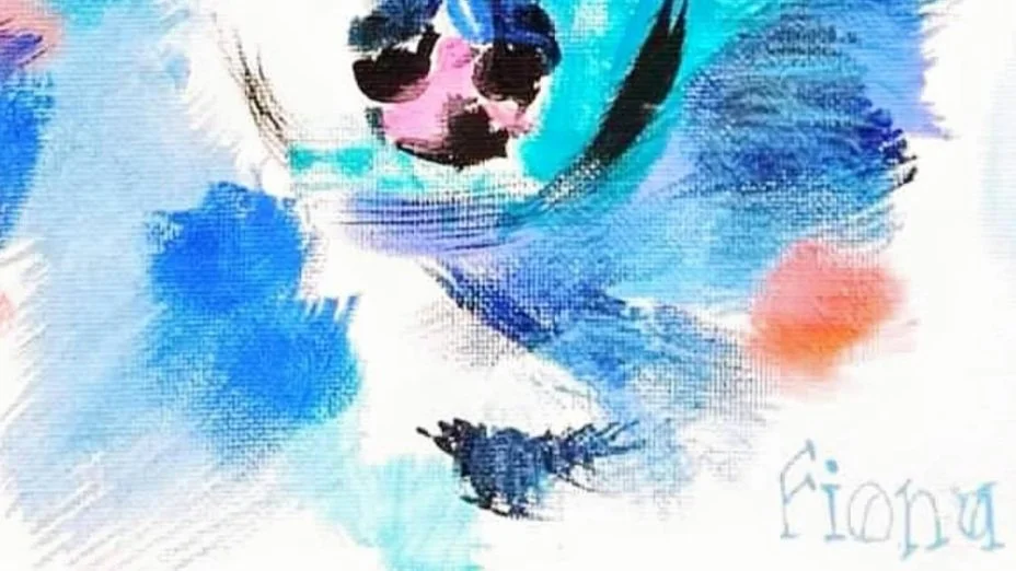 Screen Shot 2025-04-16 at 9.22.10 AM.jpg