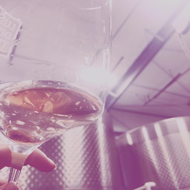 Tried our 2019 Grenache rosé after a long hiatus focusing on other projects and it&rsquo;s truly our best yet, releasing soon, can&rsquo;t wait to share this pink dream with you. #ros&eacute; #ros&eacute;allday #womeninwine #womenwinemakers