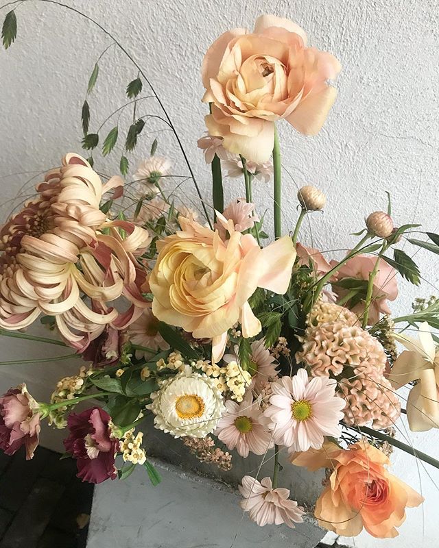 This week in the studio
