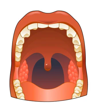 illus_mouth1.jpg