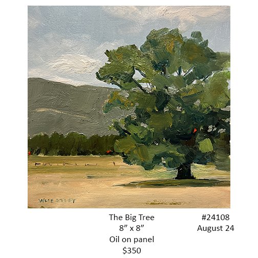 24108 the big tree.jpg