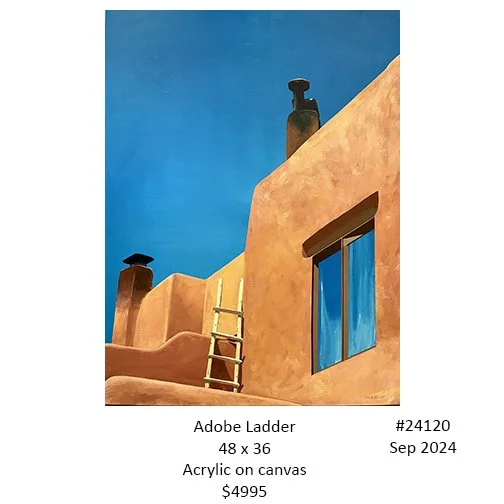 24120 adobe ladder.jpg