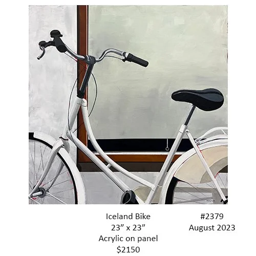 2379 iceland bike.jpg