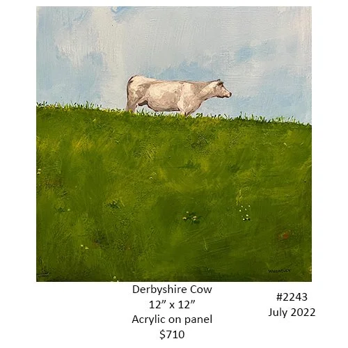 2243 derbyshire cow.jpg