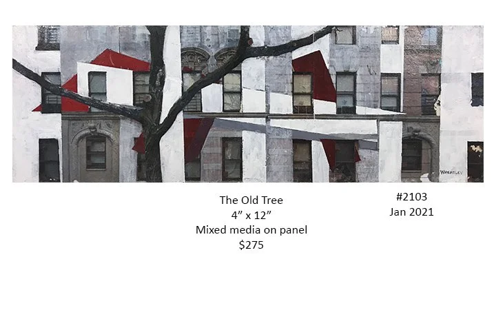 2103 the old tree.jpg