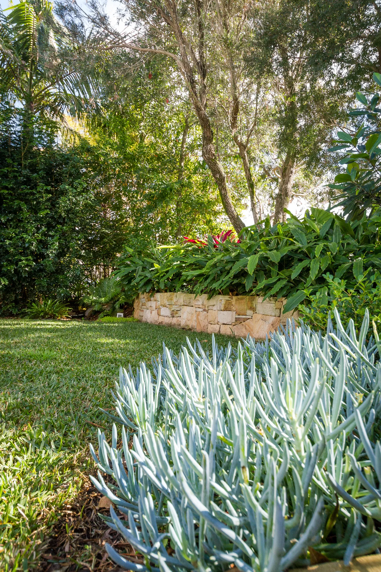 cronulla_residential_garden_design 4.jpg