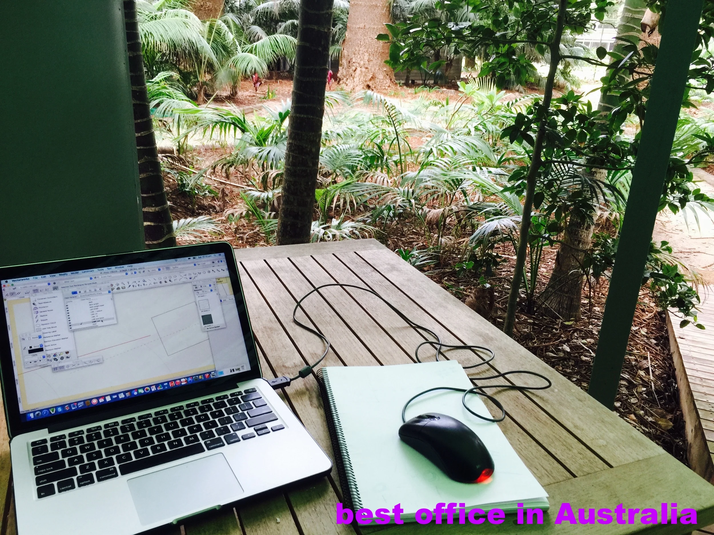 office for the week