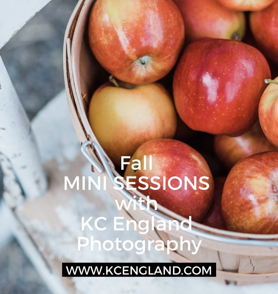 Fall Mini Sessions with KC England Photography.jpg