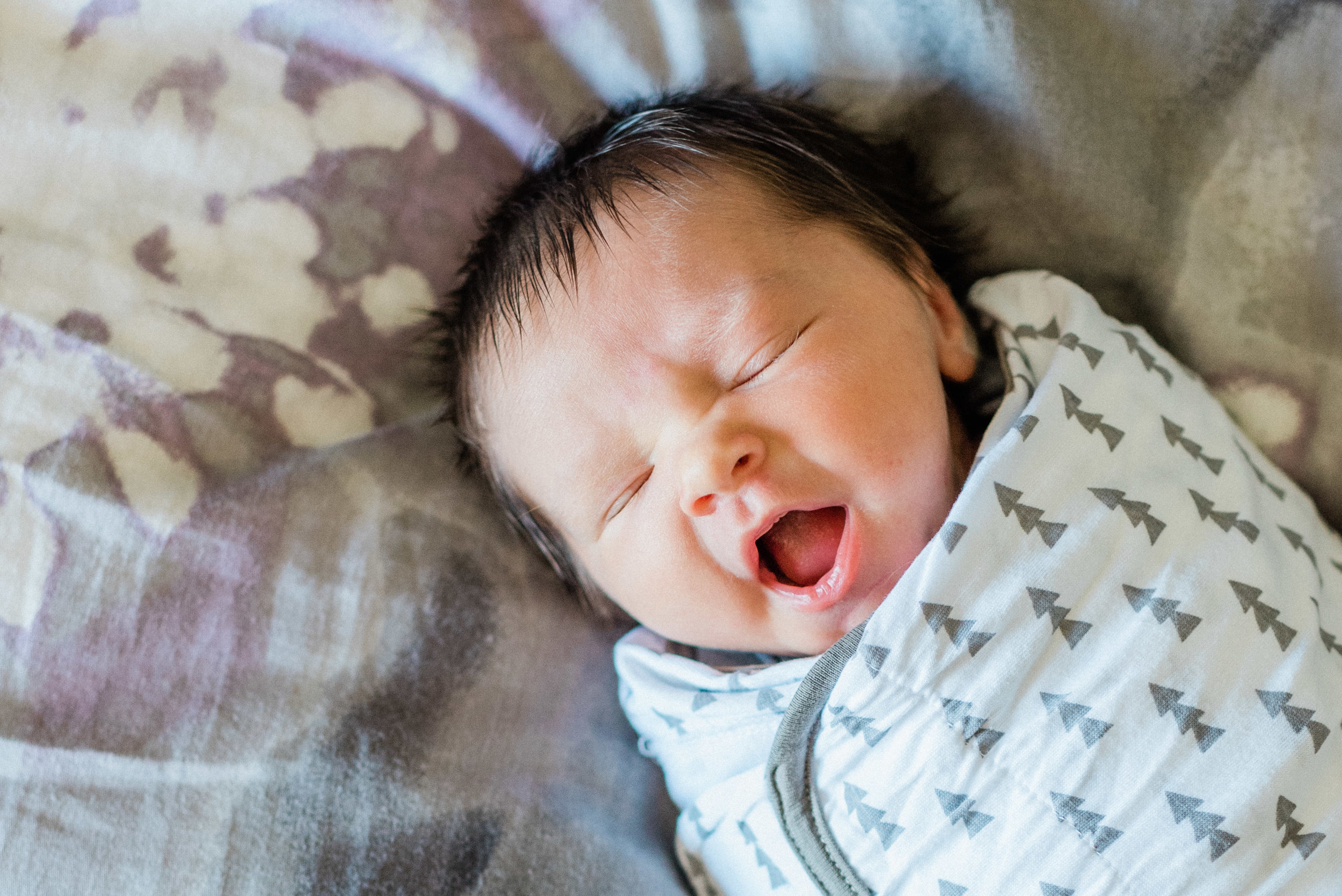 spokane-newborn-session-34.jpg