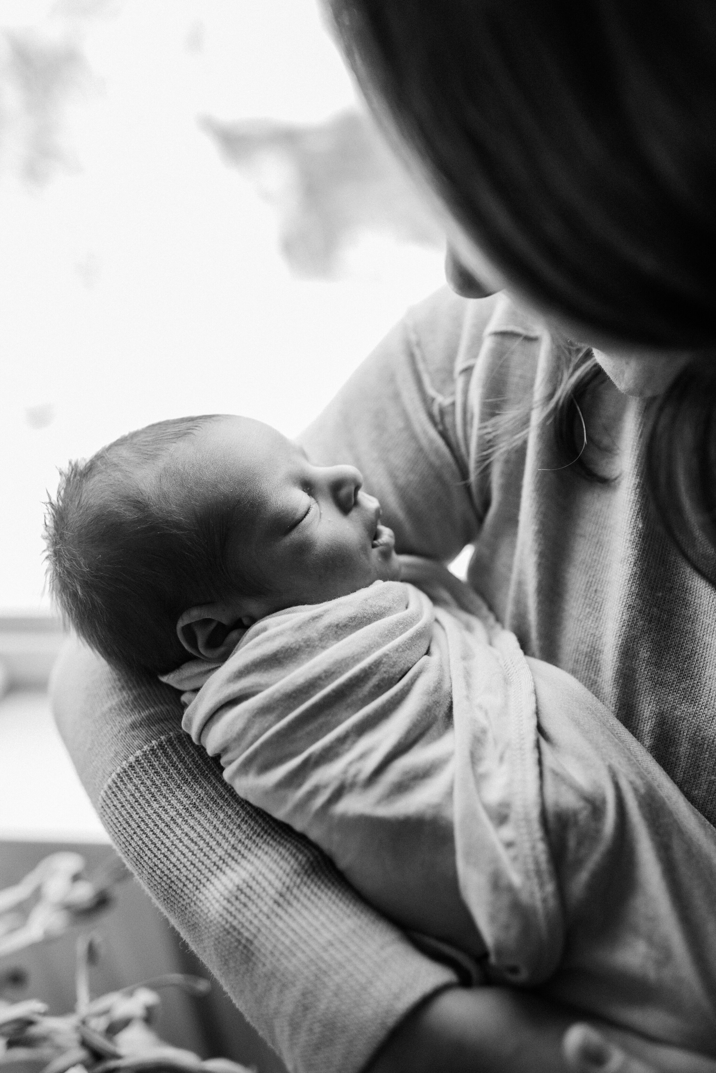 Newborn Photography Session Spokane