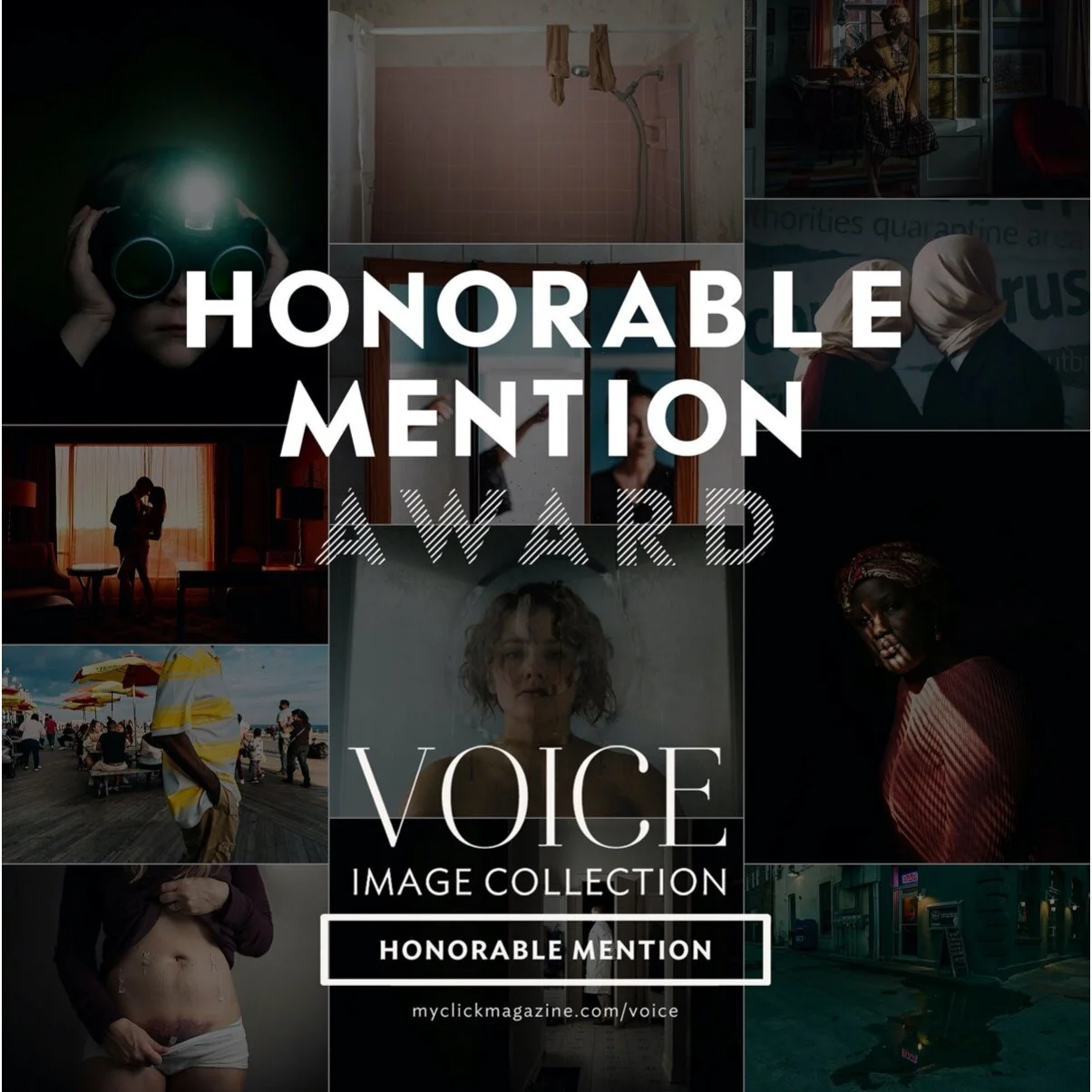 2020 Voice Collection
