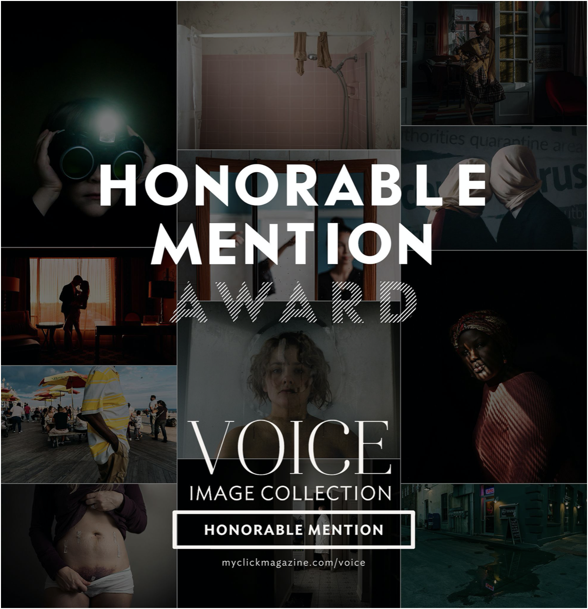 Voice Honorable Mention Award