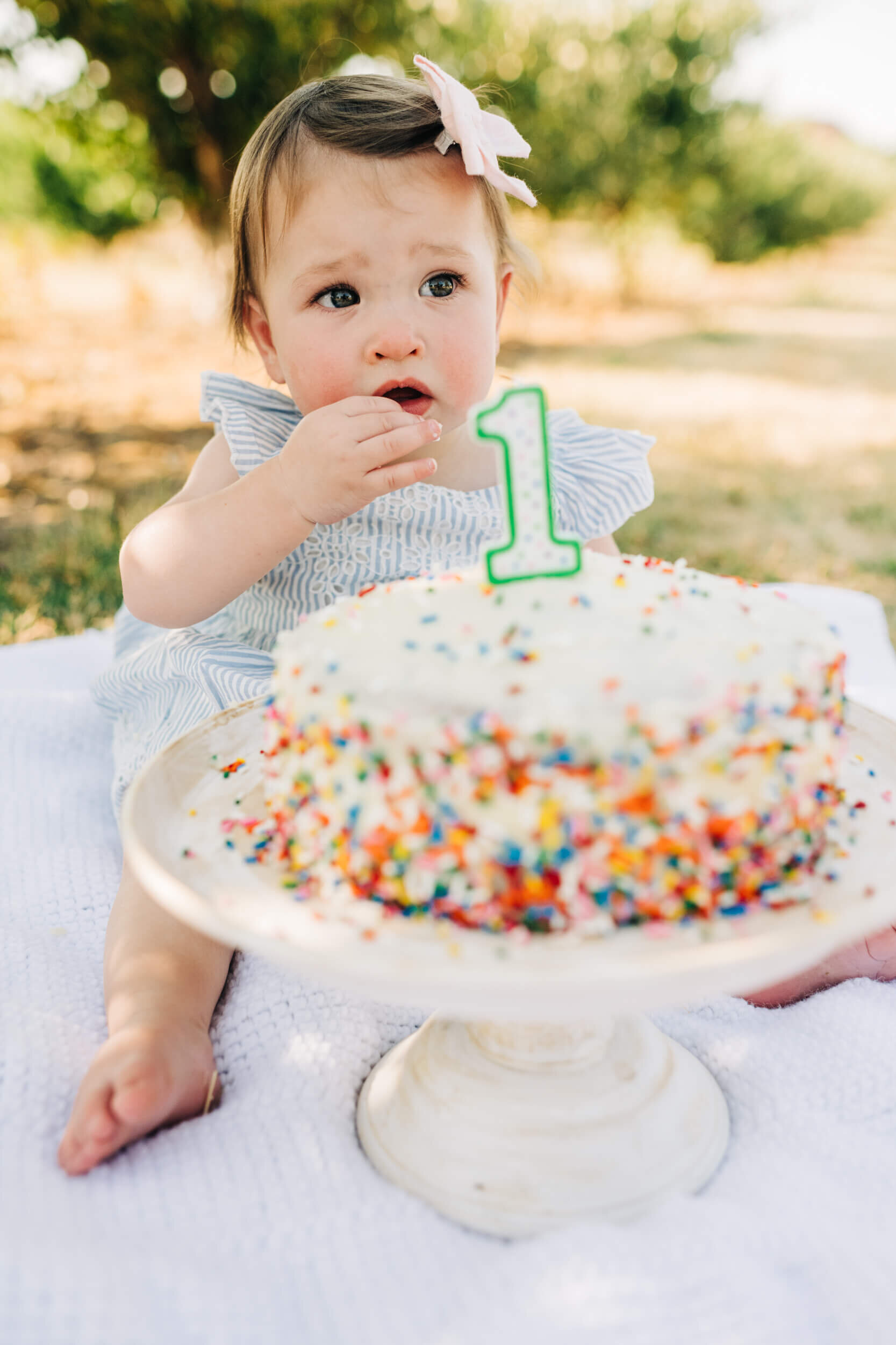 First Birthday Photo Session