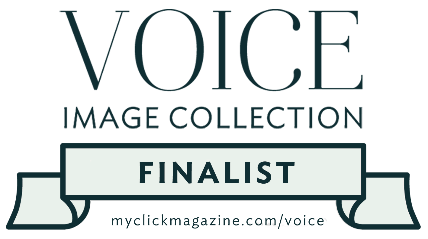 2021 Voice Image Collection Finalist