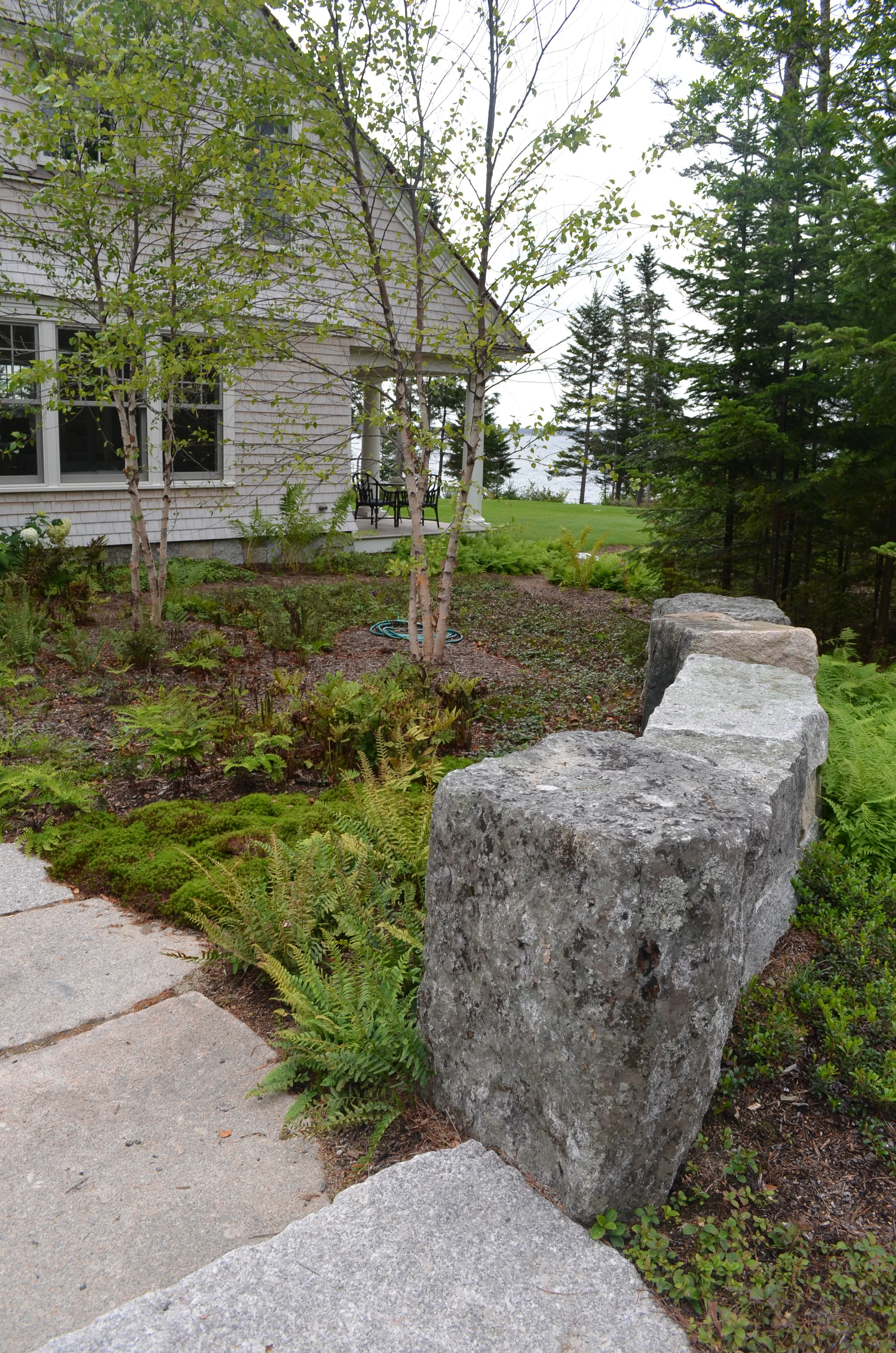 DSC_0011.jpg