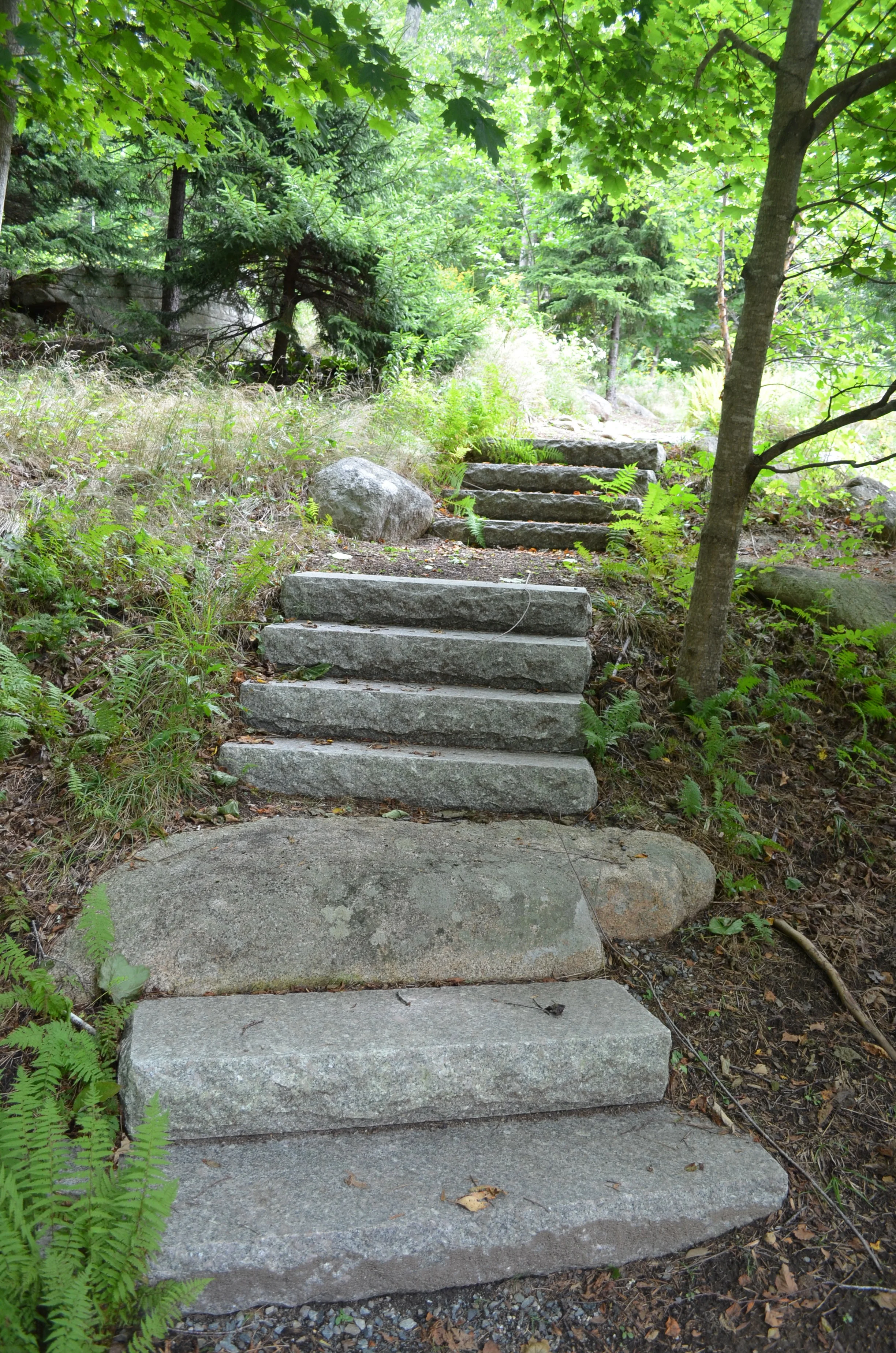 DSC_0109.jpg