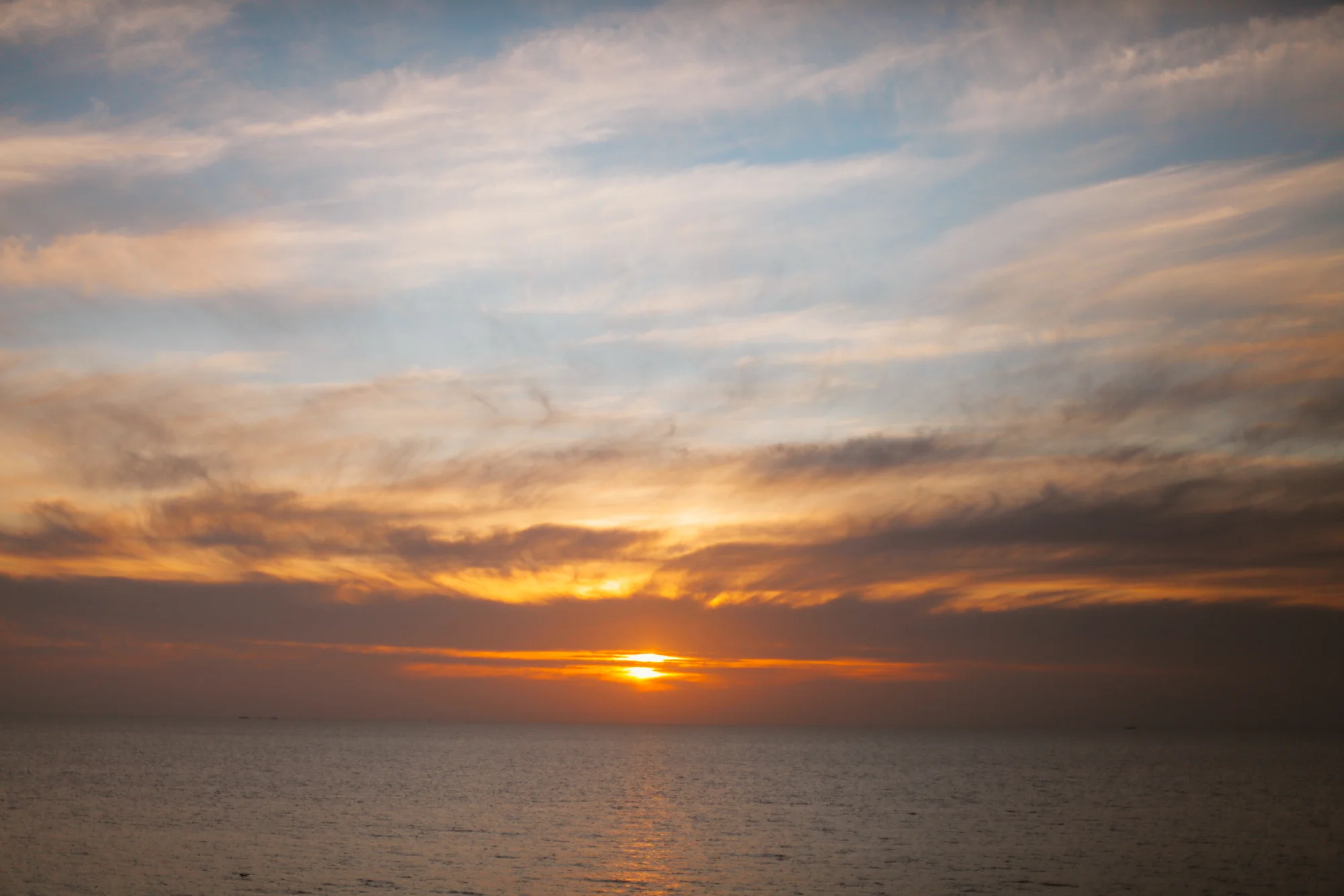 _MG_7408.JPG