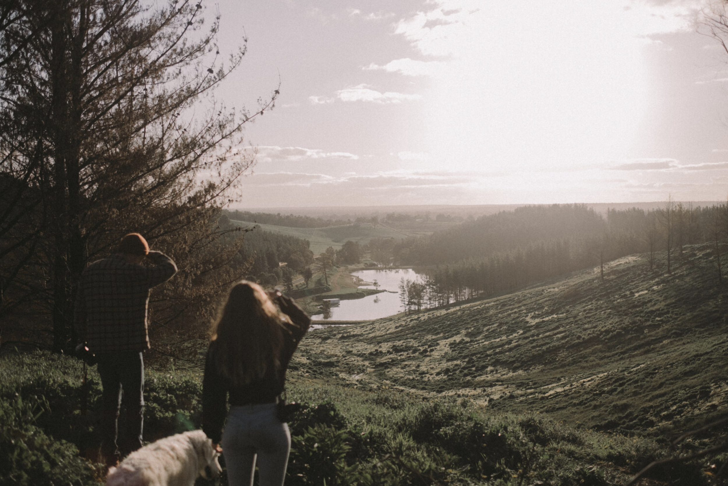 Screen Shot 2022-01-16 at 8.10.15 am.png