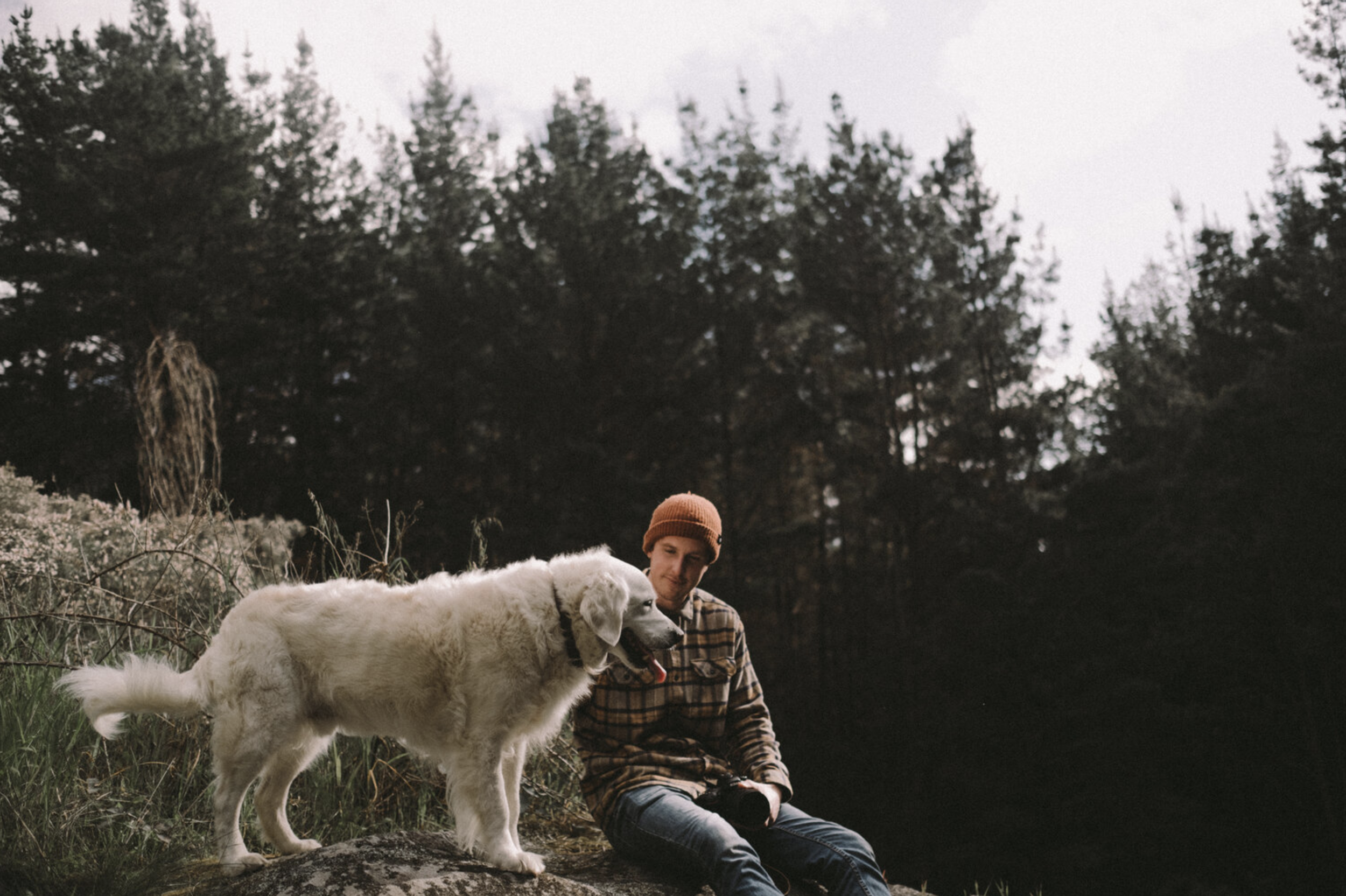 Screen Shot 2022-01-16 at 8.09.46 am.png