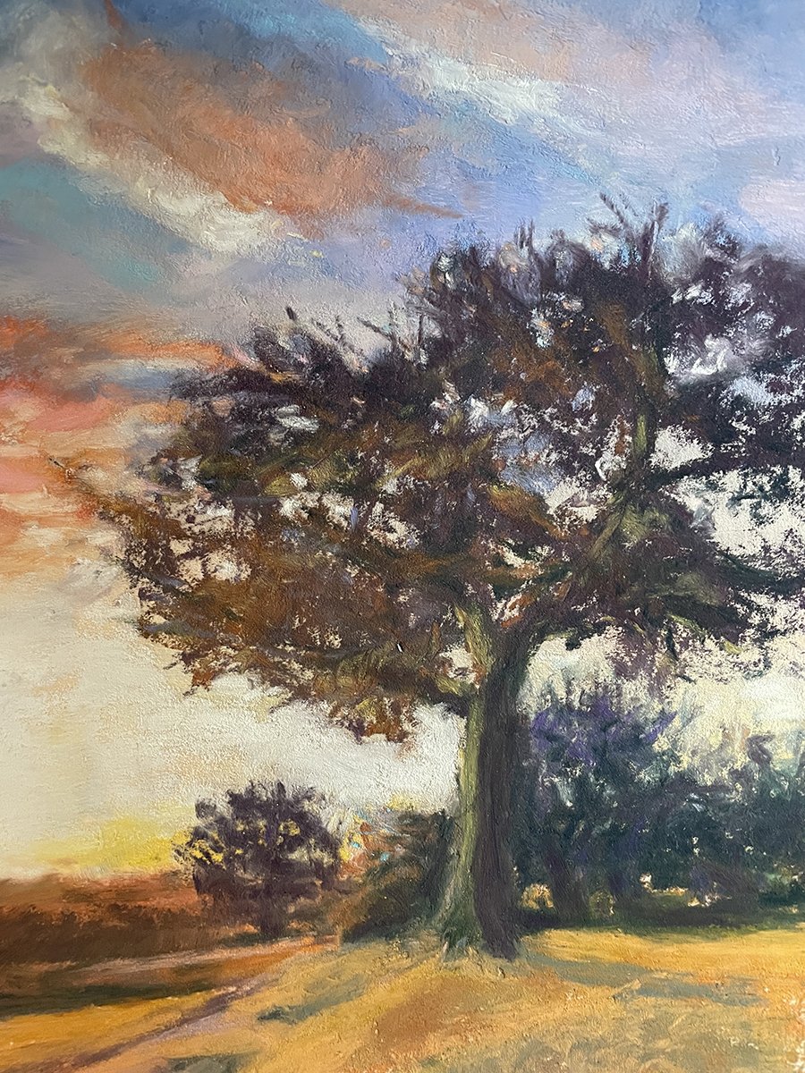 Landscape 1