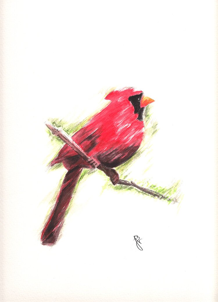Cardinal